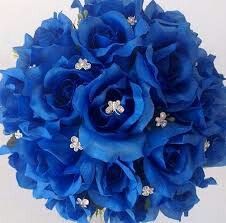Azul royal? - 5