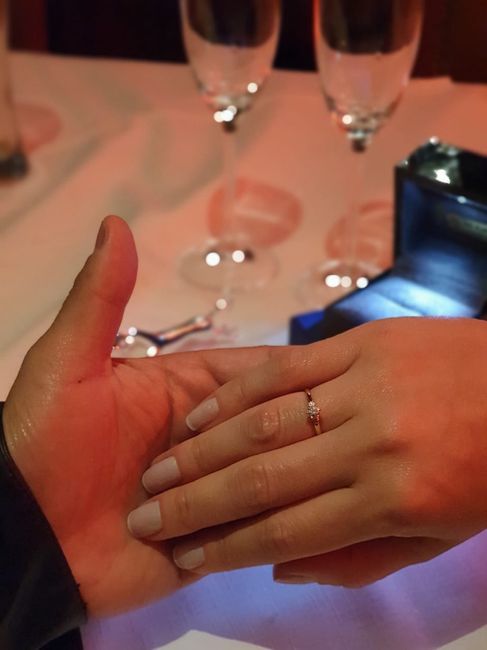 Meu Pedido de casamento 👰‍♀️💍 2