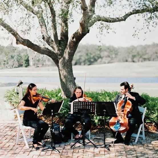 é obrigatório ter orquestra em casamento no campo? - 1