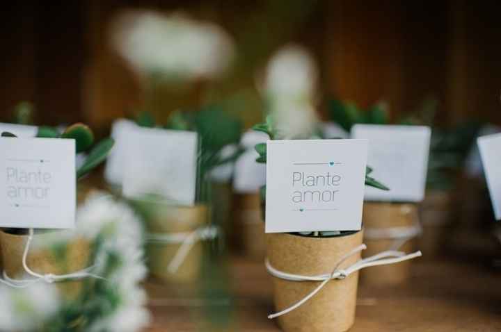 Muda de plantas