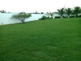 Recanto Verde