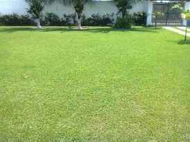 Recanto Verde