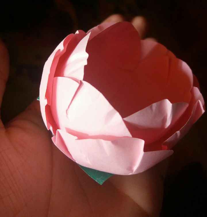 Forminhas - 1