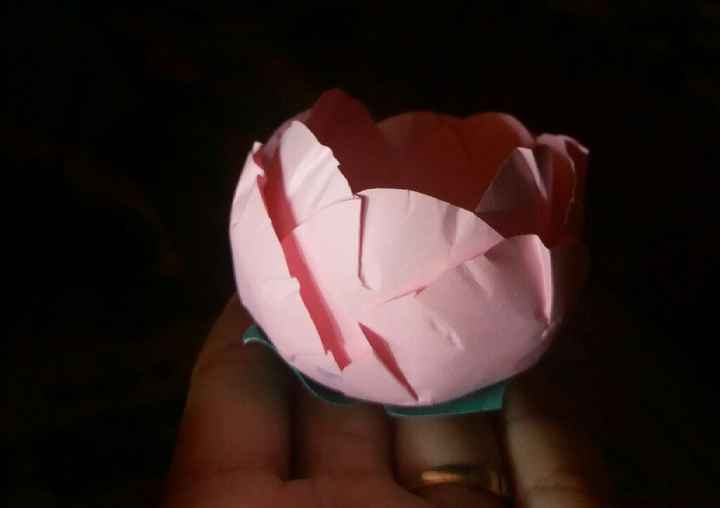 Forminhas - 2