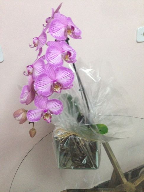 Presente do noivo
