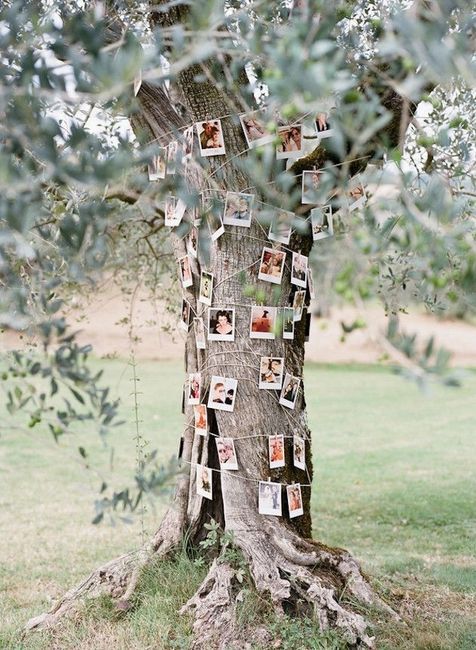 Duelo diferentão: decoração com fotos 1