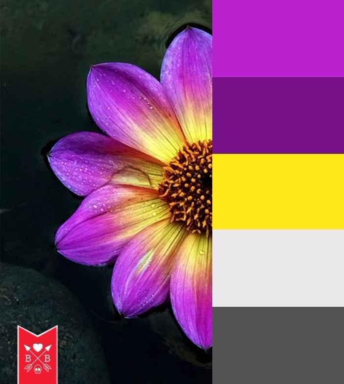 Minha paleta de cores