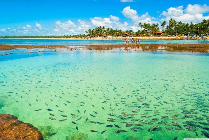 Porto de Galinhas