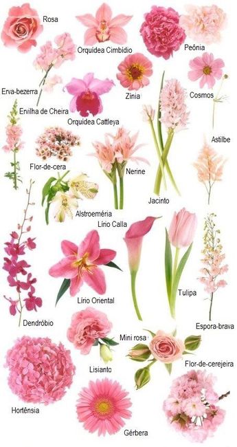 Tipos de buquê e flores! venha ver 💐 - 2