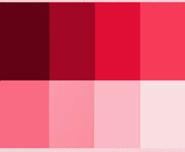 Paleta de cores escolhida - 1