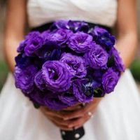 Buques #roxo e lilas - 1