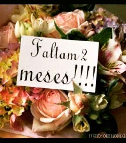 2 meses!!!! super feliz!!!! - 1