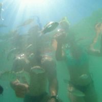 Lua de mel: maragogi (al) - 1