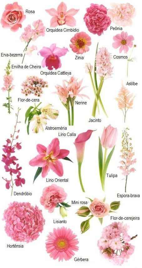 flores