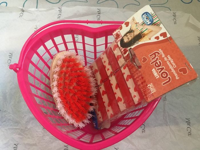 Cesto, pregadores e escova para roupa