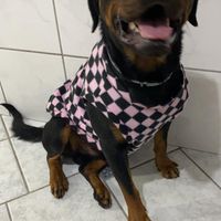 Você e seu amor já têm filhos? - 1