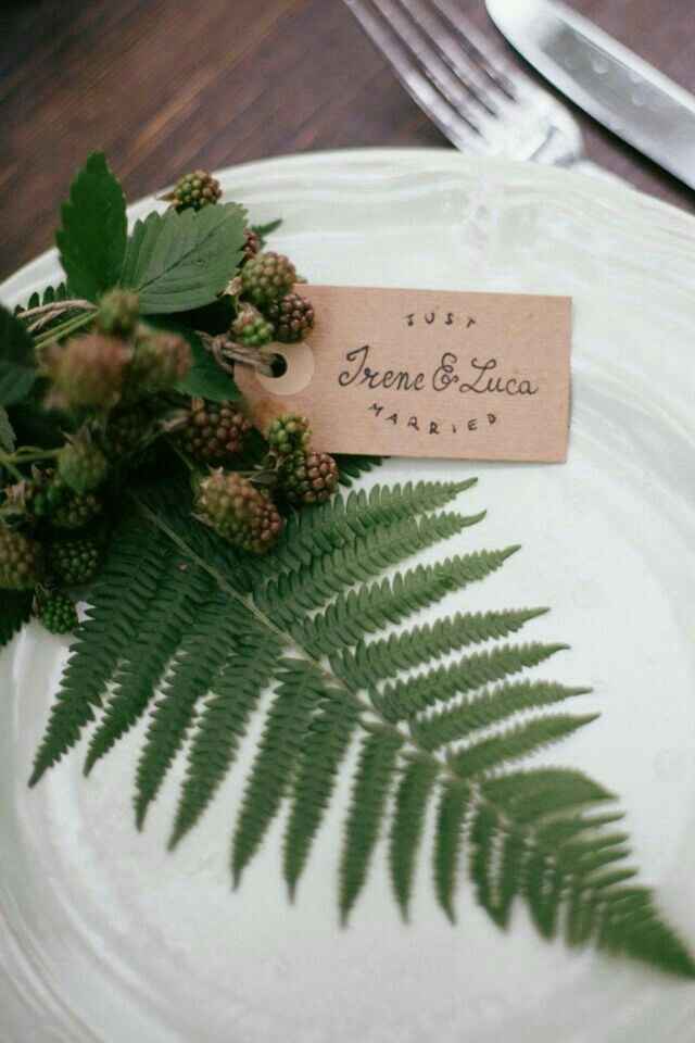 Decoração com samambaia ?? - 14