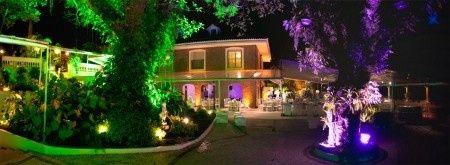 Uma árvore para nosso casamento