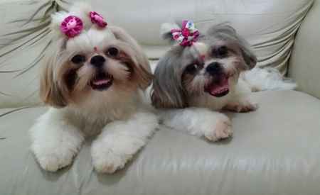 Minhas princesas!