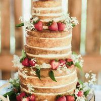 Naked cake, os bolos perfeitos ! - 5
