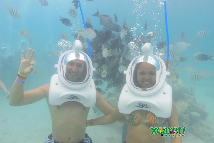 Sea Trek