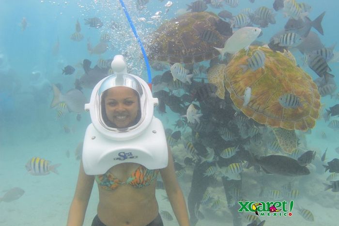 Sea Trek