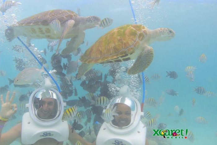 Sea Trek