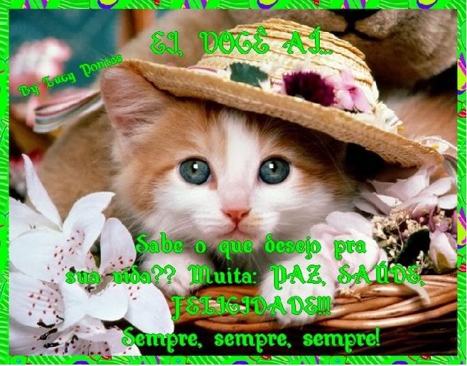 Para Todos