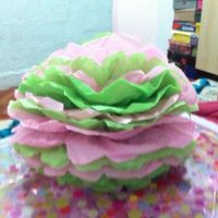 Fiz o pompom - 4
