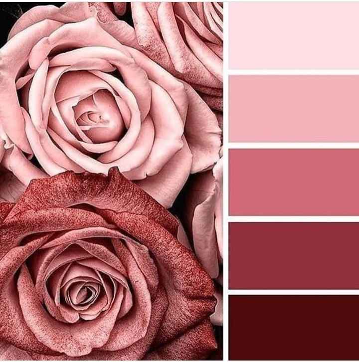 Paleta de cores!!! - 1