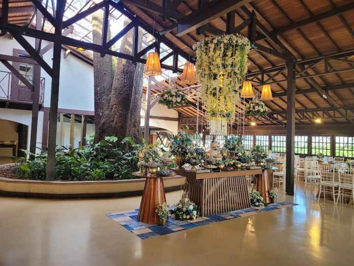 Busco local com árvore - 2