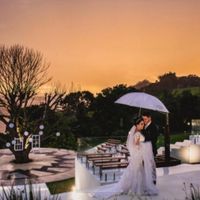 Busco local com árvore - 1