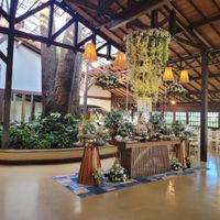 Busco local com árvore - 2