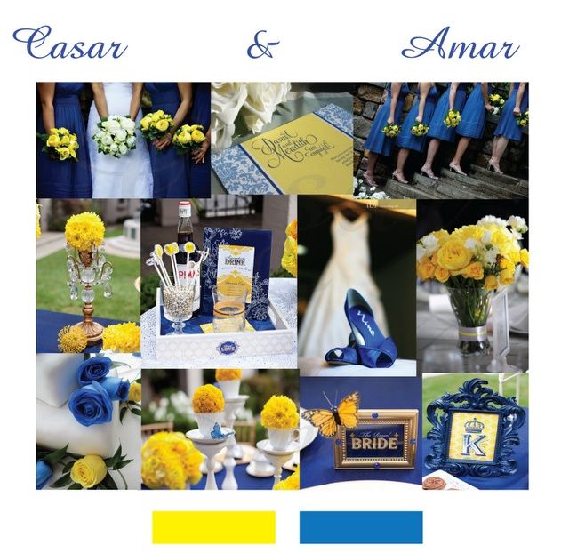 paleta azul e amarelo