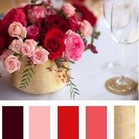 Sugestão Paleta cor VInho