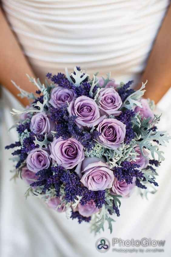 Tons de Roxo