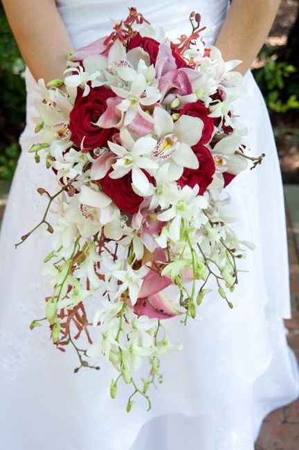 Branco, Vermelho e Rosa