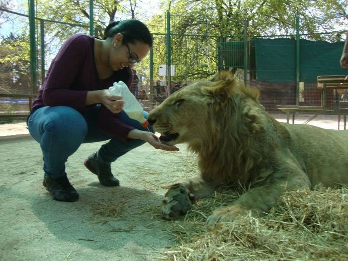 Zoológico de Lujan