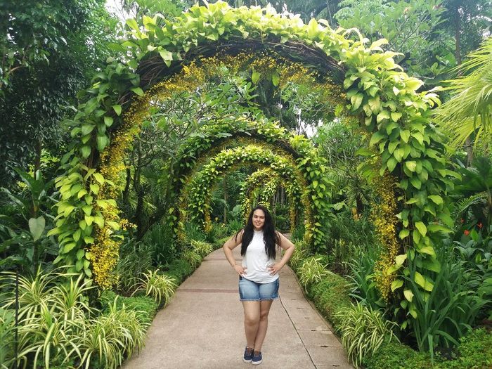Jardim Botânico - Cingapura