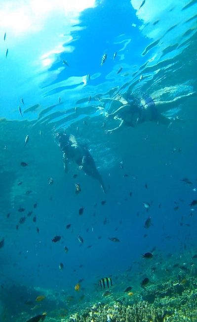 Nós dois entre os peixes