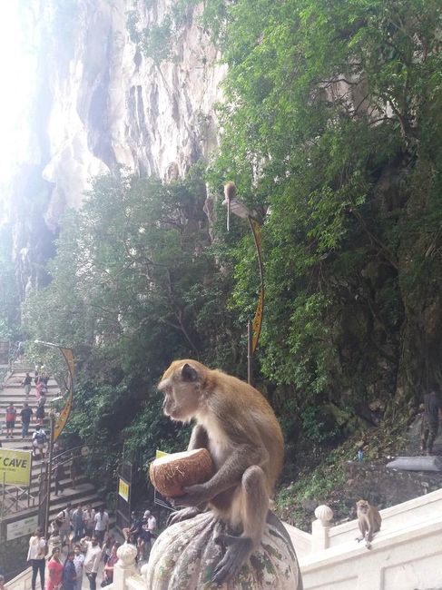 Batu Caves