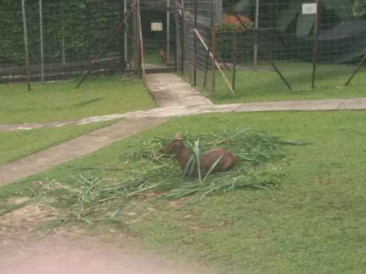 Jardim Botânico