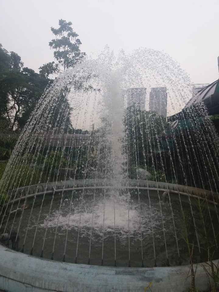 Jardim Botânico