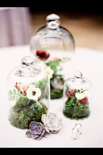 Flores - 3