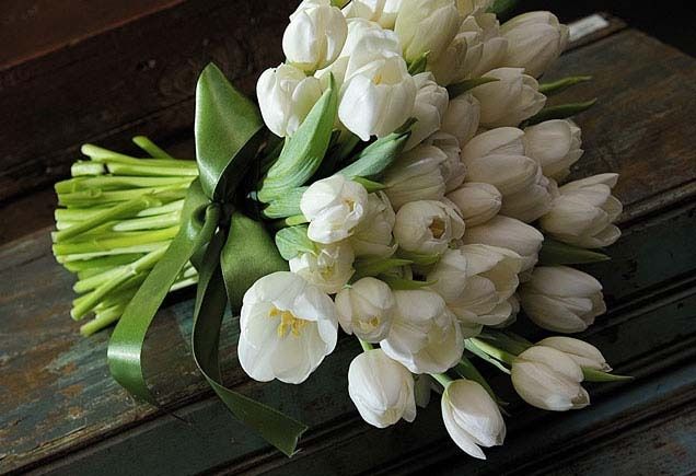 Tulipas brancas... linda mesmo