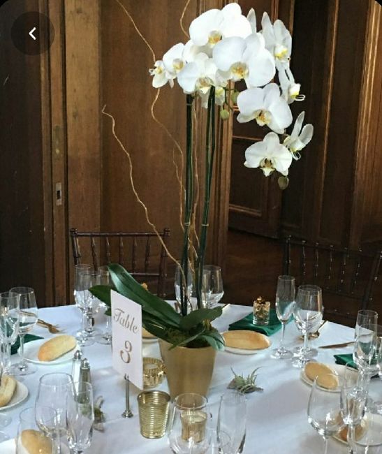 Centro de mesa com orquídeas - 1