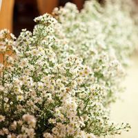 Mix de flores do campo