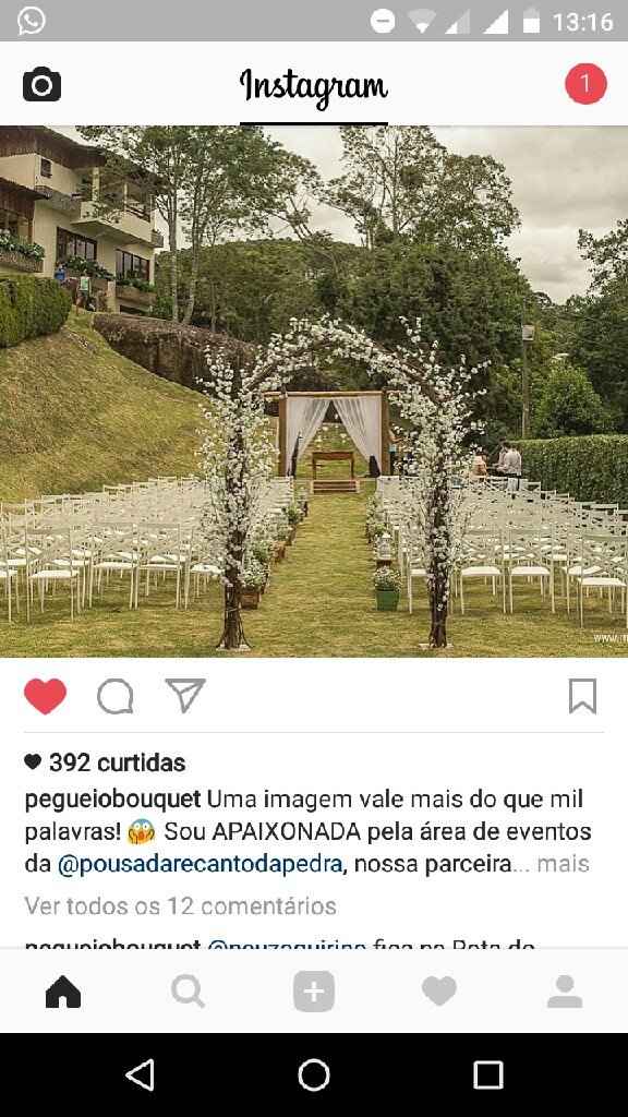 Tapete de pétalas! - 2