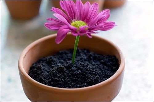inspiração 3