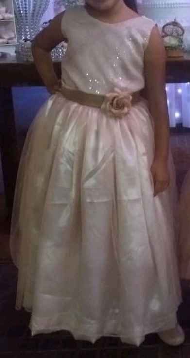 Saga do Vestido das Daminhas - 1